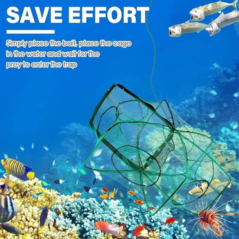 π¨ 50% OFF! π¨ Automatic folding net for anglers β reinforced nylon fishing net, landing net with telescopic handle π£β¨