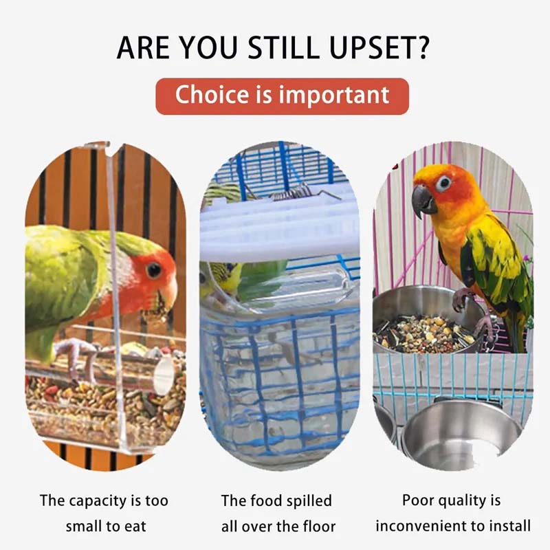 š„Hot Sale 49% OFF š¦Automatic No-Spill Transparent Bird Feeder