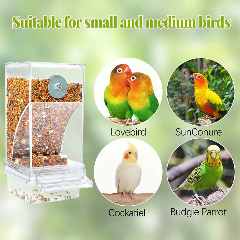 š„Hot Sale 49% OFF š¦Automatic No-Spill Transparent Bird Feeder