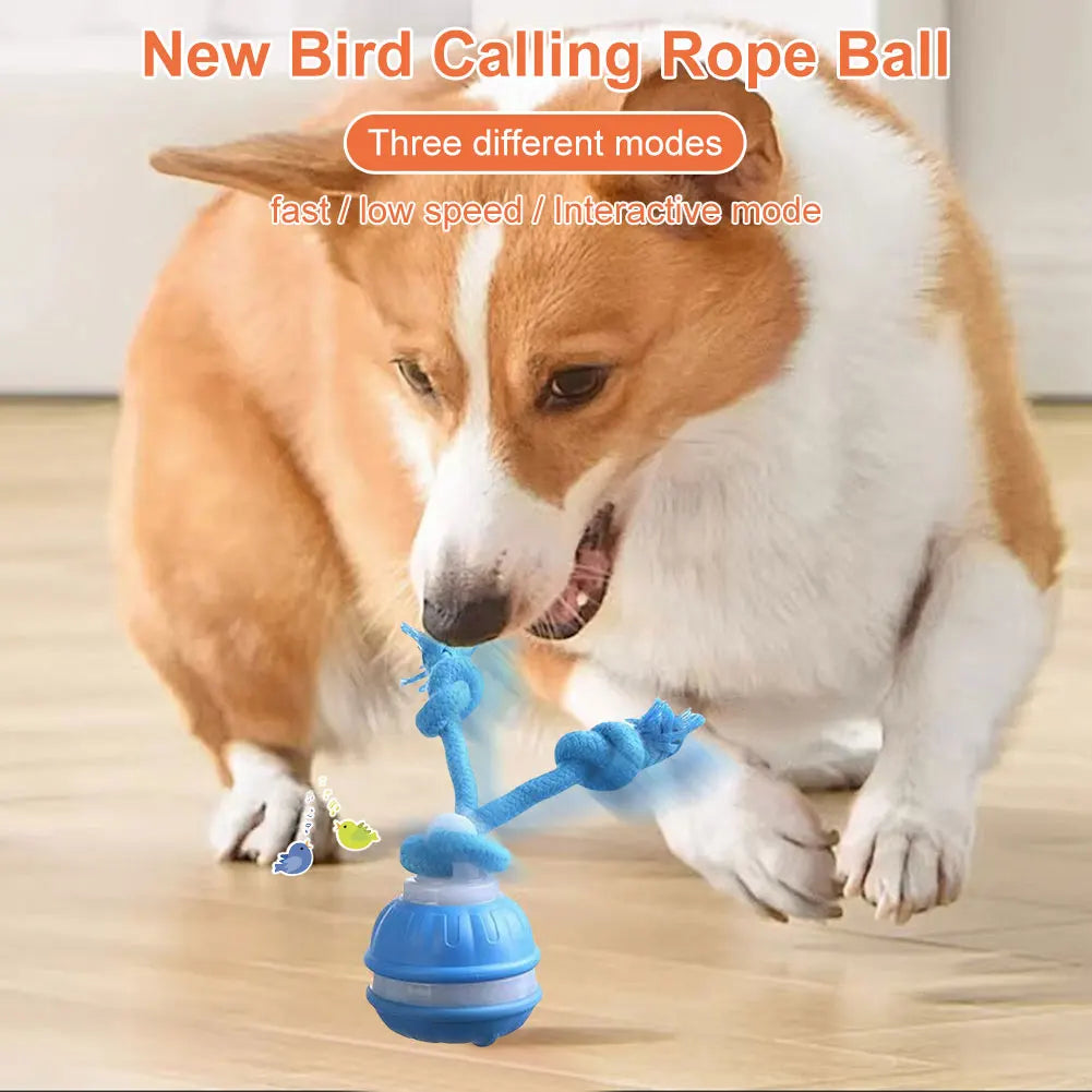 Motion Actived Rolling Ball for Dogs USB Rechargeable Interactive Dog Toys for Puppy/Small/Medium Dogs Rolling Ball with Rope