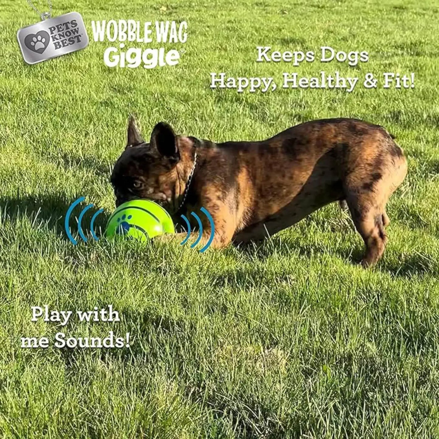 Pet Dog Toy Ball Wobble Wag Giggle Sound-Emitting Glow Ball Interactive Dog Toy Funny Indoor or Outdoor Play Agility Training