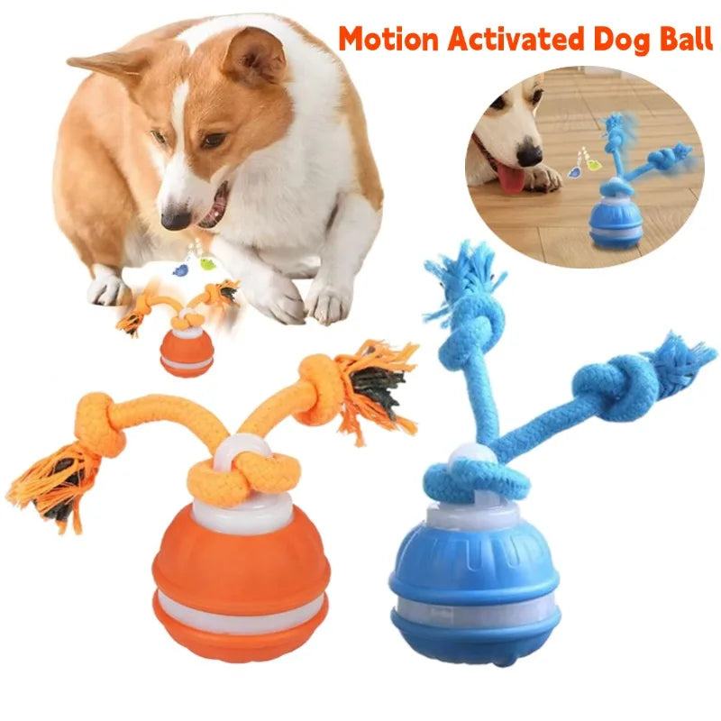 Motion Actived Rolling Ball for Dogs USB Rechargeable Interactive Dog Toys for Puppy/Small/Medium Dogs Rolling Ball with Rope