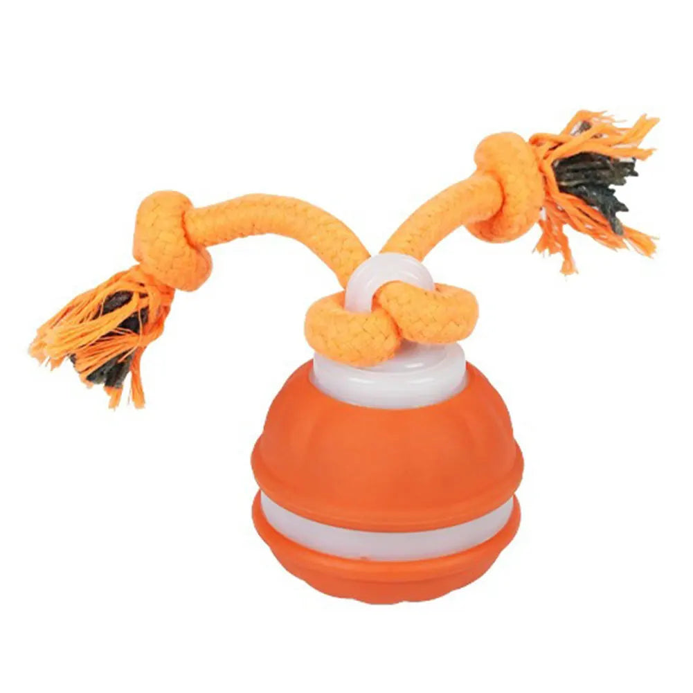 Motion Actived Rolling Ball for Dogs USB Rechargeable Interactive Dog Toys for Puppy/Small/Medium Dogs Rolling Ball with Rope
