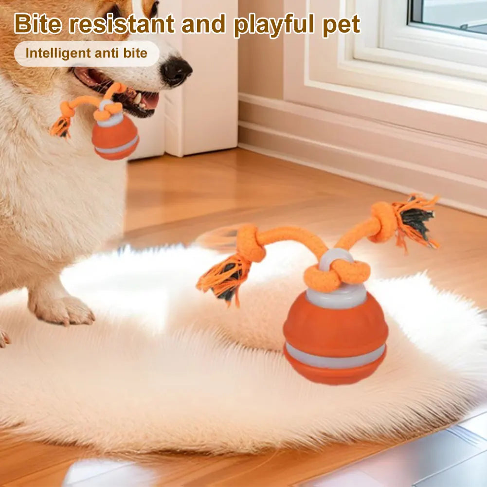 Motion Actived Rolling Ball for Dogs USB Rechargeable Interactive Dog Toys for Puppy/Small/Medium Dogs Rolling Ball with Rope