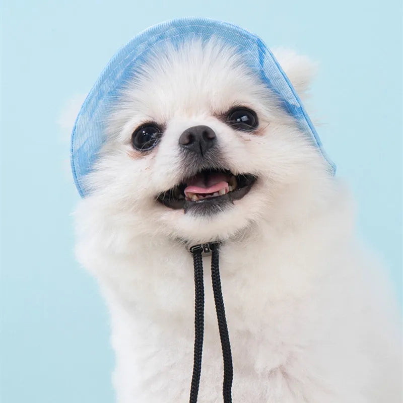 Cotton Cat Sun Hat With Ear Holes Round Brim Dog Puppy Cat Bucket Hat Outdoor Sun Protection Pet Caps for Small Medium Cat Dogs