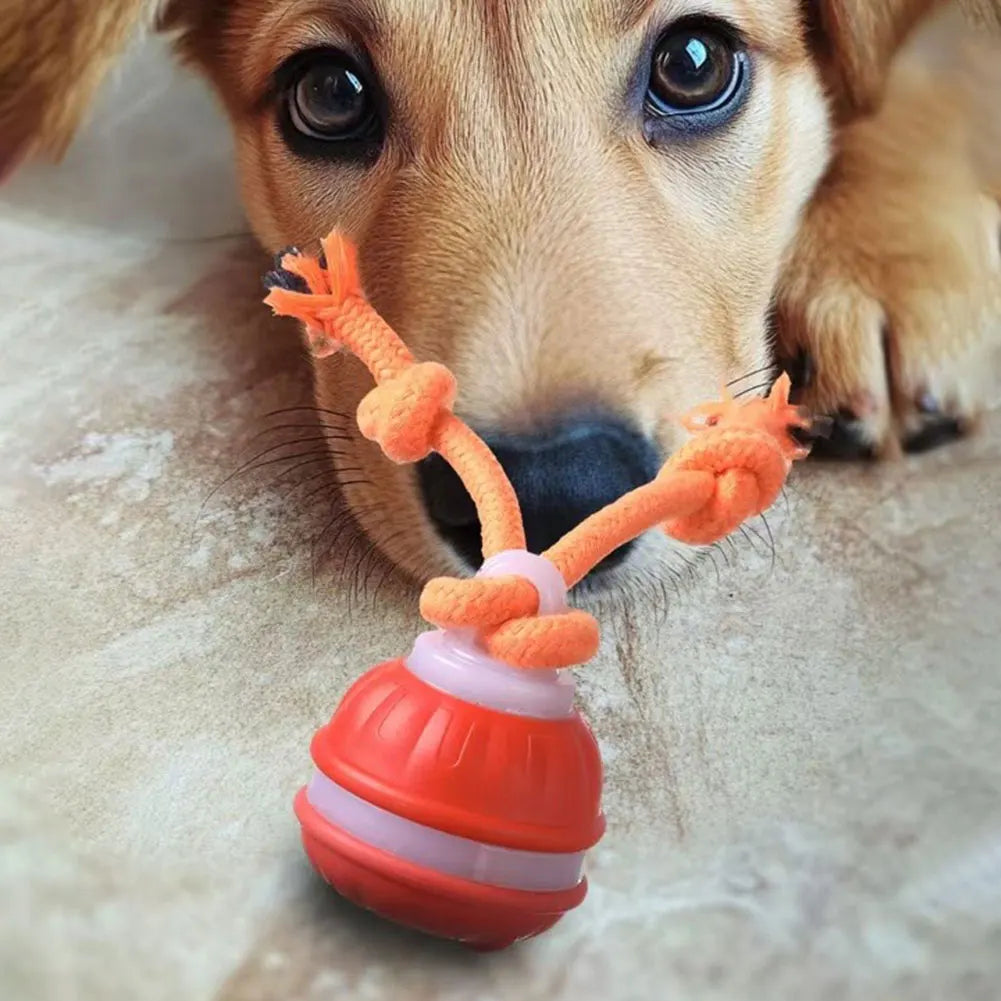 Motion Actived Rolling Ball for Dogs USB Rechargeable Interactive Dog Toys for Puppy/Small/Medium Dogs Rolling Ball with Rope