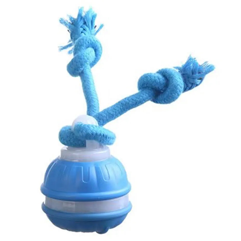Motion Actived Rolling Ball for Dogs USB Rechargeable Interactive Dog Toys for Puppy/Small/Medium Dogs Rolling Ball with Rope