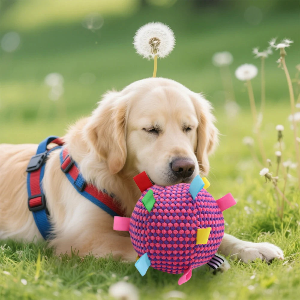 Interactive Ball Dog Toy Suitable for Chewing Training, Stress Relief, Bite Sound Resistance, Plush tug-of-war Toy three color