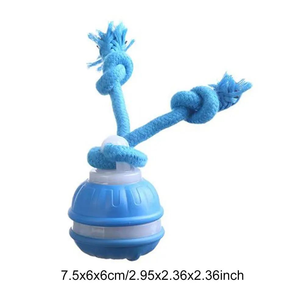 Motion Actived Rolling Ball for Dogs USB Rechargeable Interactive Dog Toys for Puppy/Small/Medium Dogs Rolling Ball with Rope