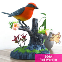 506A-Red Warbler