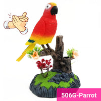 506G-Parrot