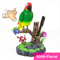 506H-Parrot