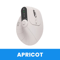 Apricot