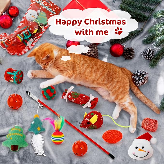 🎄🎁2025 Christmas Countdown Cat & Dog Toys Advent Calendar🐾🥳