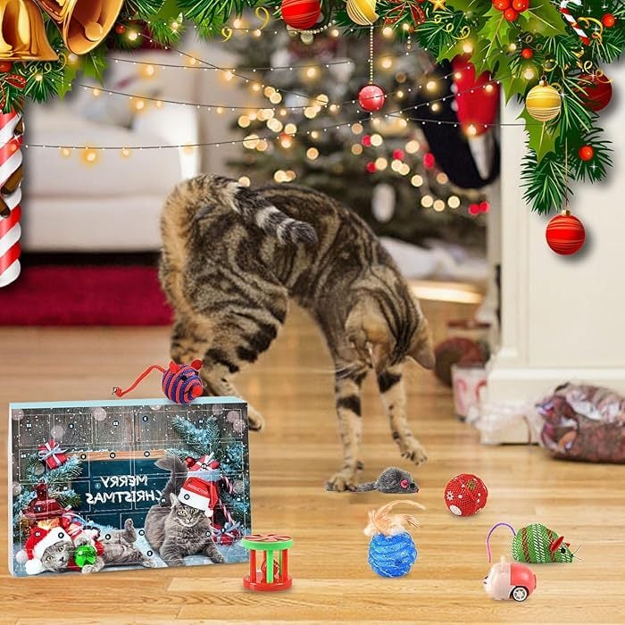 🎄🎁2025 Christmas Countdown Cat & Dog Toys Advent Calendar🐾🥳