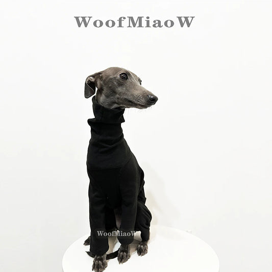 Italian Greyhound Hound Four-Legged Clothes Fashionable Multicolor Soft Comfortable Elastic Pure Color dog clothes